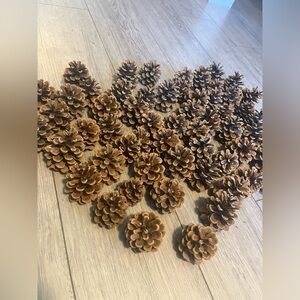 60 Natural Pine Cones
